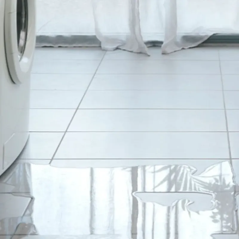 Appliance Leak Cleanup in Cypress Lake, FL
